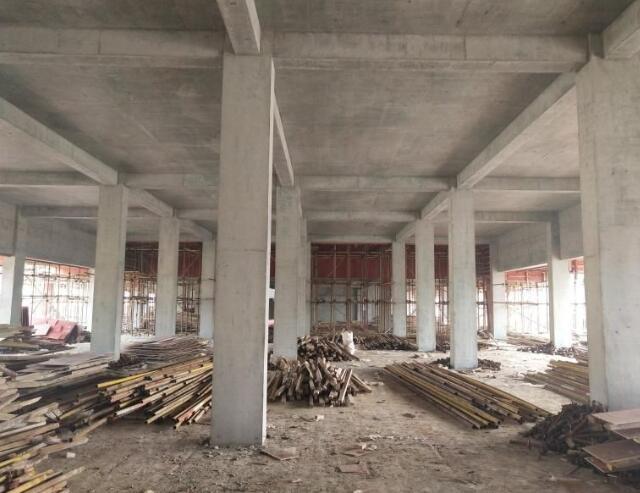 最新行政许可法重塑政府管理与服务框架的新篇章