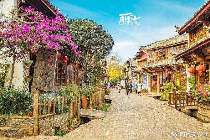 丽江古城新探，魅力之旅与未来发展趋势揭秘