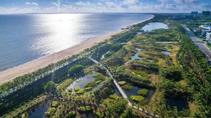海口江东新区最新动态，海南发展新引擎蓬勃崛起