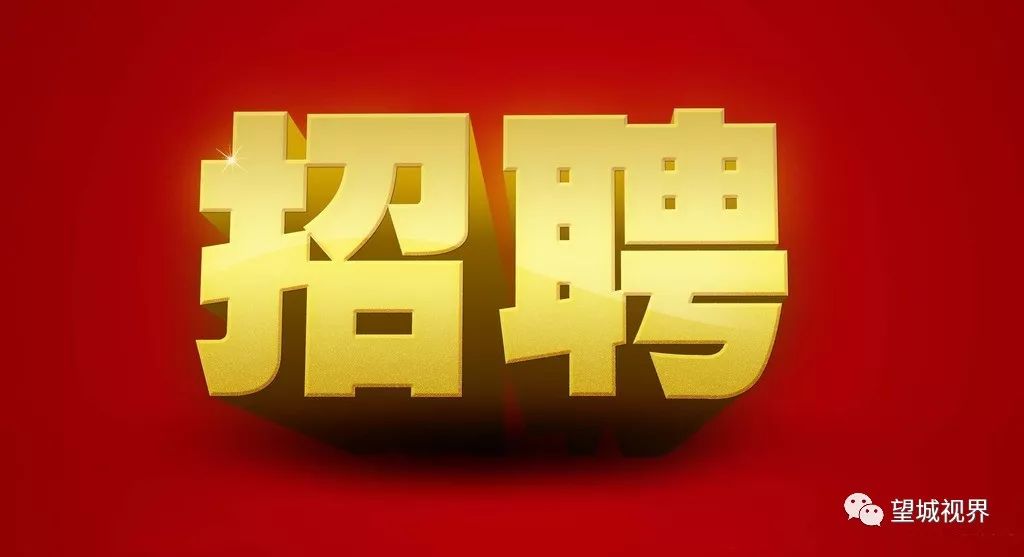 望城招聘网最新招聘动态深度解读与分析