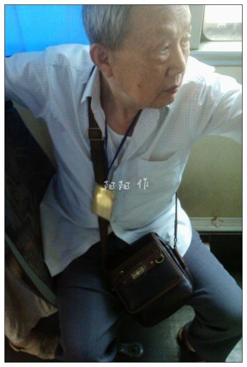 恋老新日志揭秘，成熟之美的独特魅力探索