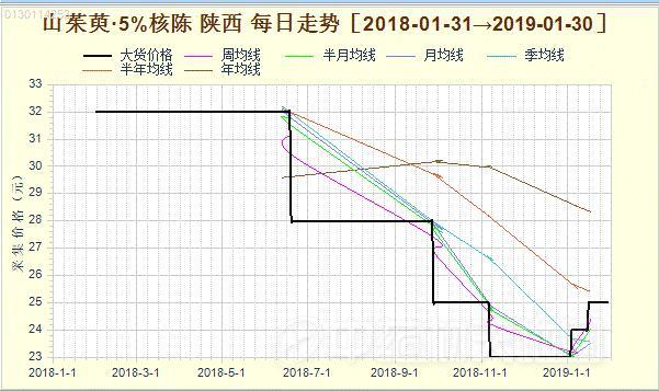 山茱萸最新行情解析