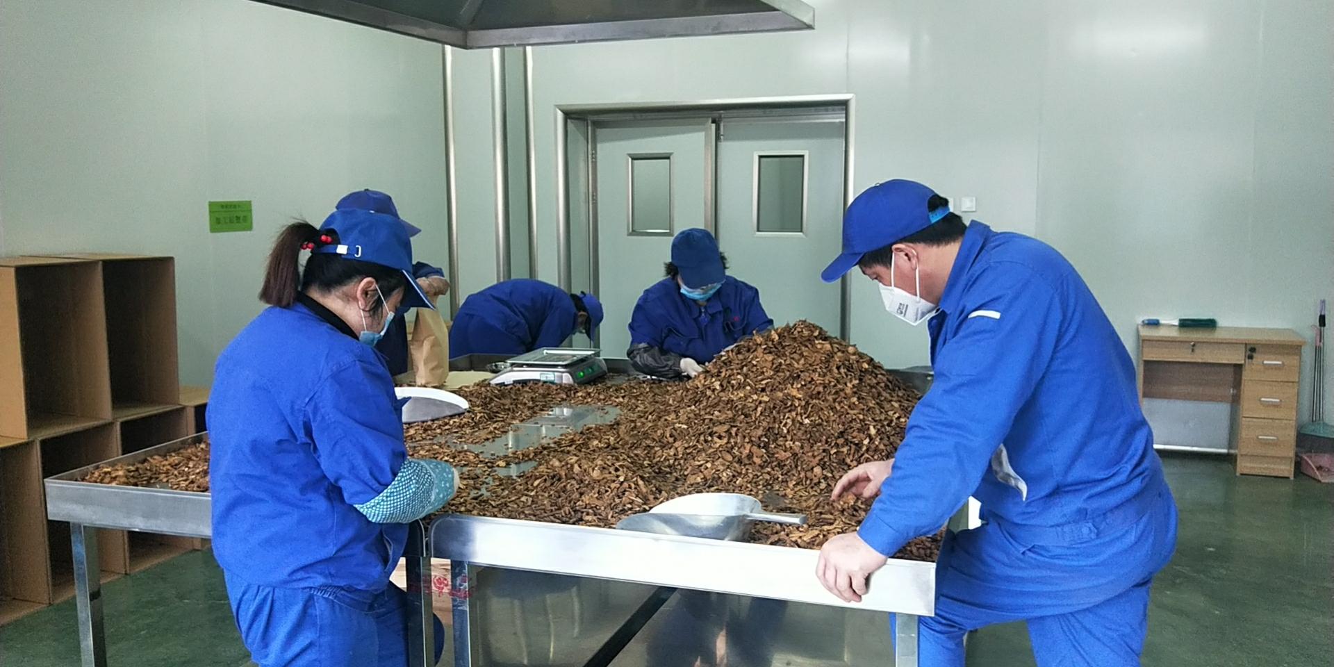平谷最新招聘信息概览与深度解读