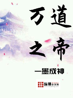 探寻小说道魅力，最新章节故事转折揭秘